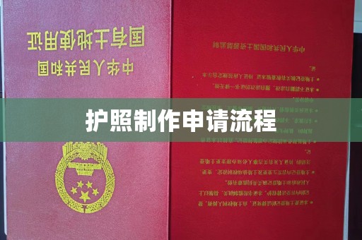 龙泉驿护照制作申请流程